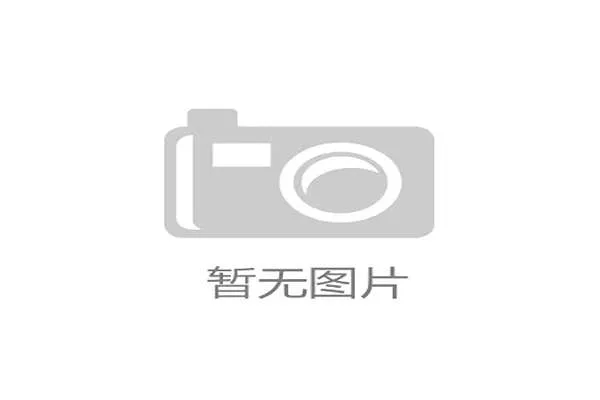 德甲门将精彩扑救集锦：顶级守门员的关键时刻表现与技术分析